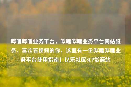 哔哩哔哩业务平台，哔哩哔哩业务平台网站服务，喜欢看视频的你	，这里有一份哔哩哔哩业务平台使用指南！亿乐社区SUP货源站  第1张