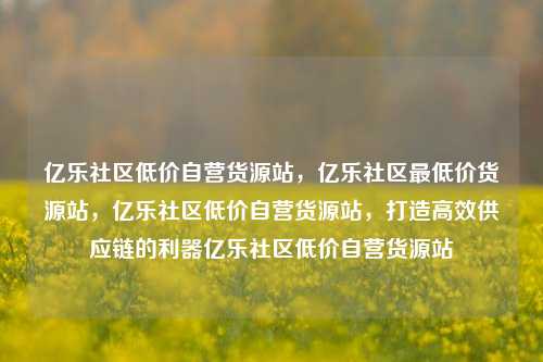 亿乐社区低价自营货源站，亿乐社区最低价货源站，亿乐社区低价自营货源站，打造高效供应链的利器亿乐社区低价自营货源站  第1张