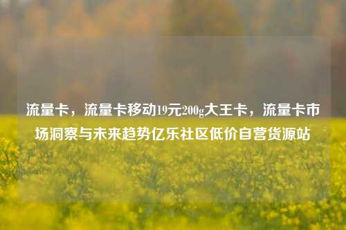 流量卡	，流量卡移动19元200g大王卡，流量卡市场洞察与未来趋势亿乐社区低价自营货源站  第1张