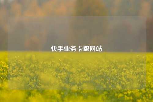 快手业务卡盟网站  第1张