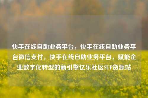 快手在线自助业务平台，快手在线自助业务平台微信支付，快手在线自助业务平台	，赋能企业数字化转型的新引擎亿乐社区SUP货源站  第1张