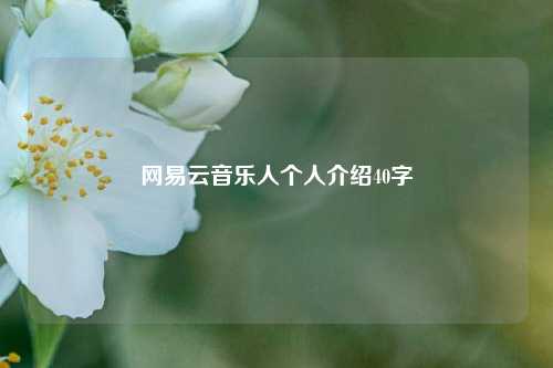 网易云音乐人个人介绍40字  第1张