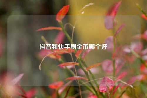 抖音和快手刷金币哪个好  第1张