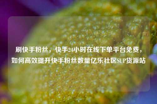 刷快手粉丝	，快手24小时在线下单平台免费，如何高效提升快手粉丝数量亿乐社区SUP货源站  第1张