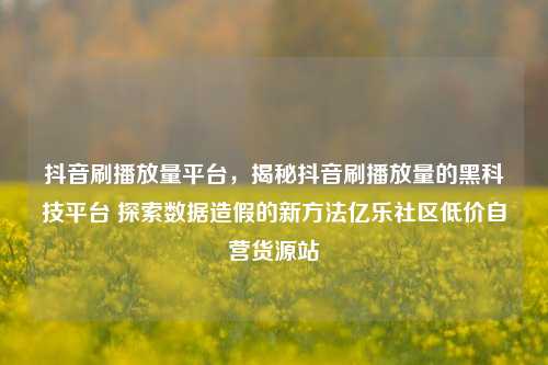 抖音刷播放量平台，揭秘抖音刷播放量的黑科技平台 探索数据造假的新方法亿乐社区低价自营货源站  第1张