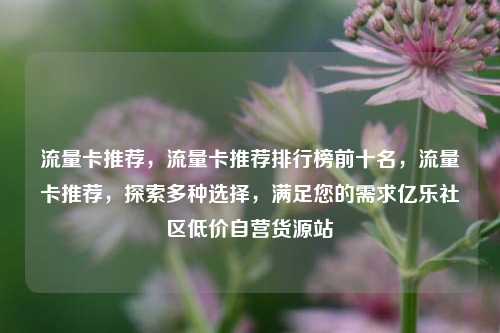 流量卡推荐	，流量卡推荐排行榜前十名，流量卡推荐，探索多种选择	，满足您的需求亿乐社区低价自营货源站  第1张