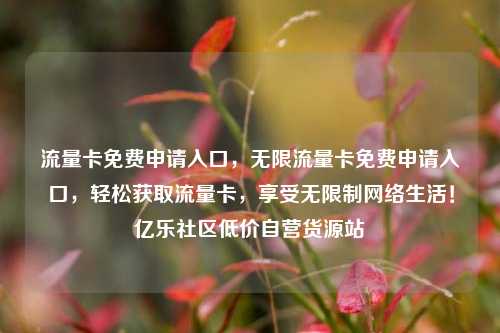 流量卡免费申请入口，无限流量卡免费申请入口，轻松获取流量卡，享受无限制网络生活！亿乐社区低价自营货源站  第1张