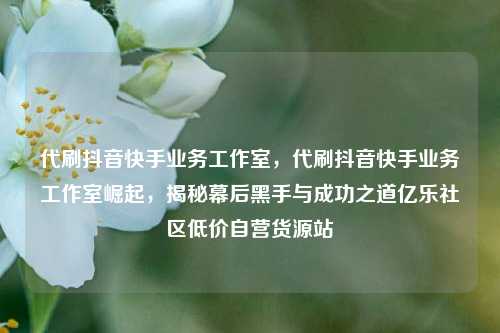 代刷抖音快手业务工作室，代刷抖音快手业务工作室崛起，揭秘幕后黑手与成功之道亿乐社区低价自营货源站  第1张
