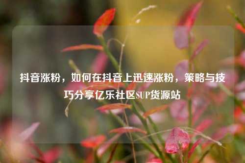 抖音涨粉，如何在抖音上迅速涨粉	，策略与技巧分享亿乐社区SUP货源站  第1张