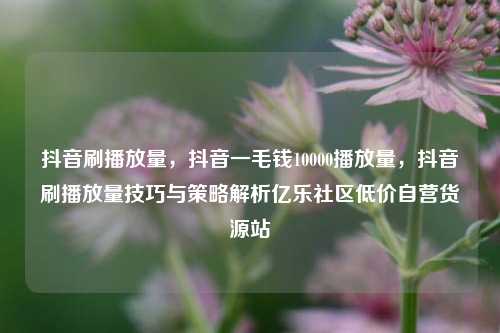抖音刷播放量，抖音一毛钱10000播放量，抖音刷播放量技巧与策略解析亿乐社区低价自营货源站  第1张