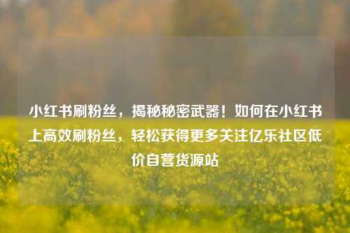 小红书刷粉丝	，揭秘秘密武器！如何在小红书上高效刷粉丝，轻松获得更多关注亿乐社区低价自营货源站  第1张