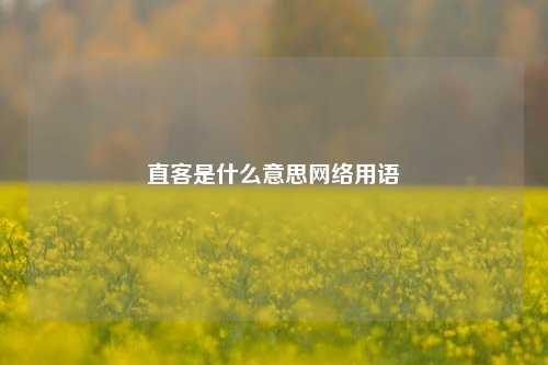 直客是什么意思网络用语  第1张