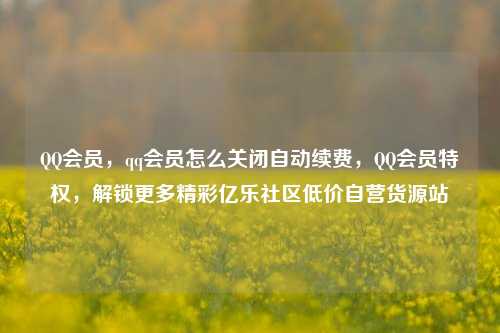 QQ会员	，qq会员怎么关闭自动续费，QQ会员特权，解锁更多精彩亿乐社区低价自营货源站  第1张