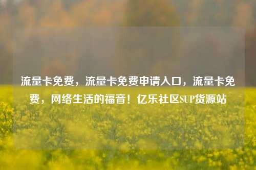 流量卡免费，流量卡免费申请入口	，流量卡免费，网络生活的福音！亿乐社区SUP货源站  第1张
