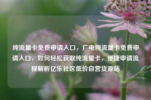 纯流量卡免费申请入口，广电纯流量卡免费申请入口，如何轻松获取纯流量卡，便捷申请流程解析亿乐社区低价自营货源站  第1张