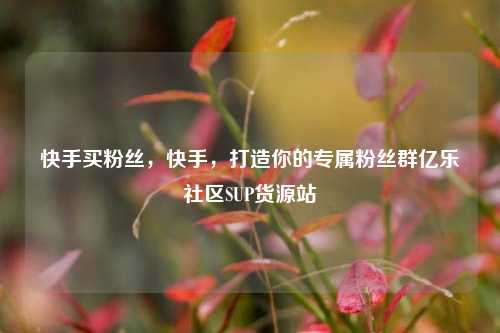 快手买粉丝	，快手，打造你的专属粉丝群亿乐社区SUP货源站  第1张
