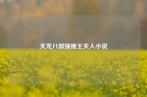 天龙八部强推王夫人小说  第1张