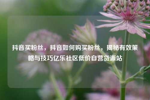 抖音买粉丝，抖音如何购买粉丝	，揭秘有效策略与技巧亿乐社区低价自营货源站  第1张