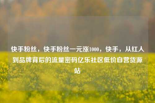 快手粉丝	，快手粉丝一元涨1000，快手，从红人到品牌背后的流量密码亿乐社区低价自营货源站  第1张