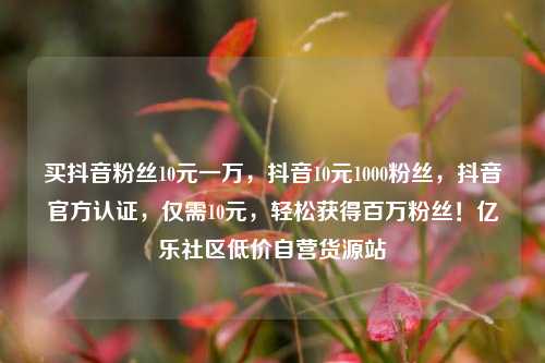 买抖音粉丝10元一万，抖音10元1000粉丝	，抖音官方认证，仅需10元，轻松获得百万粉丝！亿乐社区低价自营货源站  第1张