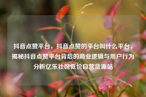 抖音点赞平台，抖音点赞的平台叫什么平台，揭秘抖音点赞平台背后的商业逻辑与用户行为分析亿乐社区低价自营货源站  第1张