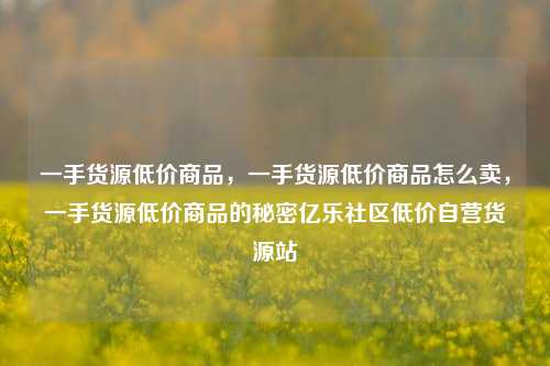 一手货源低价商品，一手货源低价商品怎么卖，一手货源低价商品的秘密亿乐社区低价自营货源站  第1张