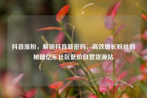 抖音涨粉	，解锁抖音新密码，高效增长粉丝的秘籍亿乐社区低价自营货源站  第1张