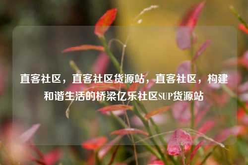 直客社区，直客社区货源站，直客社区	，构建和谐生活的桥梁亿乐社区SUP货源站  第1张