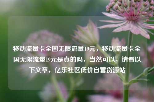 移动流量卡全国无限流量19元，移动流量卡全国无限流量19元是真的吗，当然可以	，请看以下文章，亿乐社区低价自营货源站  第1张