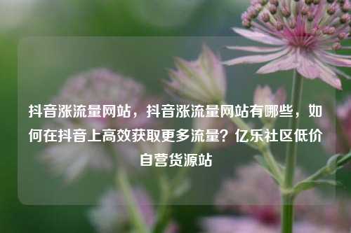 抖音涨流量网站	，抖音涨流量网站有哪些，如何在抖音上高效获取更多流量？亿乐社区低价自营货源站  第1张