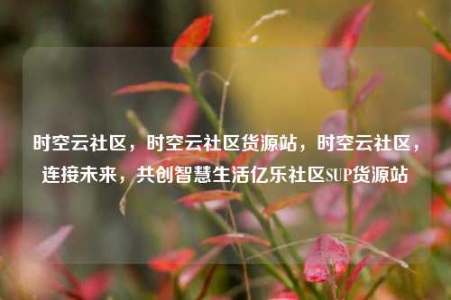 时空云社区，时空云社区货源站，时空云社区	，连接未来，共创智慧生活亿乐社区SUP货源站  第1张