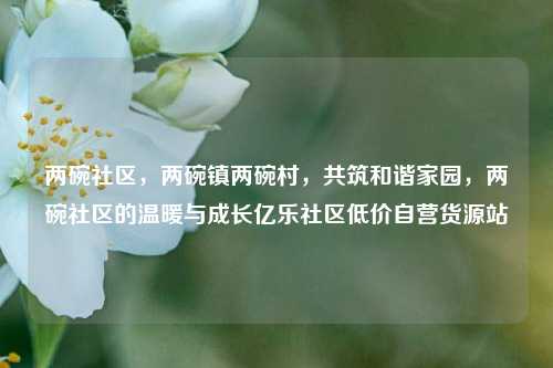 两碗社区，两碗镇两碗村，共筑和谐家园	，两碗社区的温暖与成长亿乐社区低价自营货源站  第1张