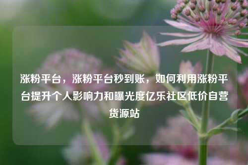 涨粉平台	，涨粉平台秒到账，如何利用涨粉平台提升个人影响力和曝光度亿乐社区低价自营货源站  第1张
