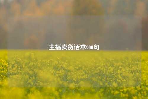 主播卖货话术900句  第1张