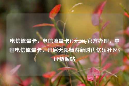 电信流量卡	，电信流量卡19元200g官方办理，中国电信流量卡，开启无限畅游新时代亿乐社区SUP货源站  第1张