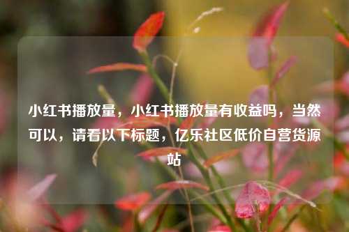 小红书播放量	，小红书播放量有收益吗，当然可以，请看以下标题	，亿乐社区低价自营货源站  第1张