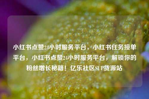 小红书点赞24小时服务平台，小红书任务接单平台	，小红书点赞24小时服务平台，解锁你的粉丝增长秘籍！亿乐社区SUP货源站  第1张
