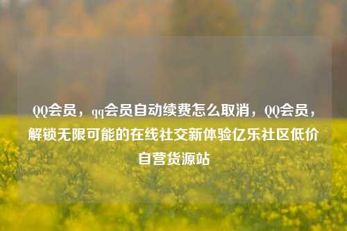 QQ会员	，qq会员自动续费怎么取消，QQ会员，解锁无限可能的在线社交新体验亿乐社区低价自营货源站  第1张