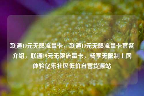 联通19元无限流量卡，联通19元无限流量卡套餐介绍	，联通19元无限流量卡，畅享无限制上网体验亿乐社区低价自营货源站  第1张