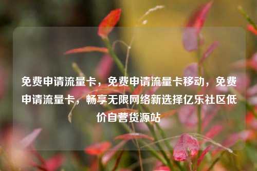 免费申请流量卡，免费申请流量卡移动	，免费申请流量卡，畅享无限网络新选择亿乐社区低价自营货源站  第1张