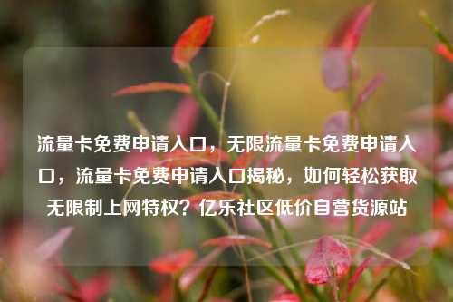 流量卡免费申请入口	，无限流量卡免费申请入口，流量卡免费申请入口揭秘，如何轻松获取无限制上网特权？亿乐社区低价自营货源站  第1张