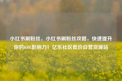 小红书刷粉丝，小红书刷粉丝攻略，快速提升你的KOL影响力！亿乐社区低价自营货源站  第1张