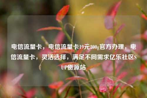电信流量卡	，电信流量卡19元200g官方办理，电信流量卡，灵活选择	，满足不同需求亿乐社区SUP货源站  第1张
