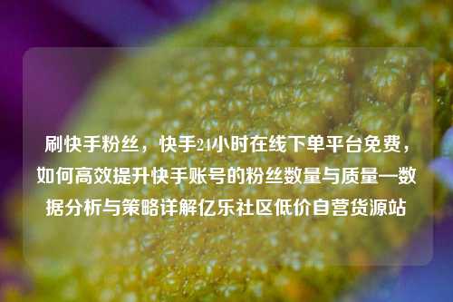 刷快手粉丝，快手24小时在线下单平台免费，如何高效提升快手账号的粉丝数量与质量—数据分析与策略详解亿乐社区低价自营货源站  第1张