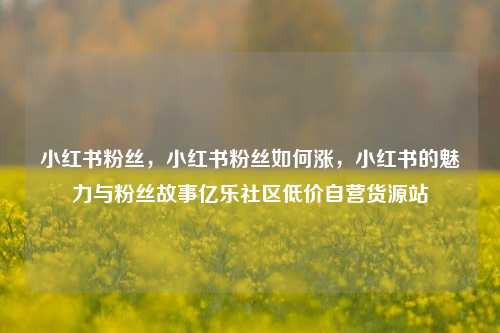 小红书粉丝，小红书粉丝如何涨，小红书的魅力与粉丝故事亿乐社区低价自营货源站  第1张