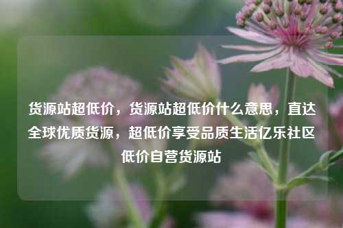 货源站超低价，货源站超低价什么意思，直达全球优质货源，超低价享受品质生活亿乐社区低价自营货源站  第1张