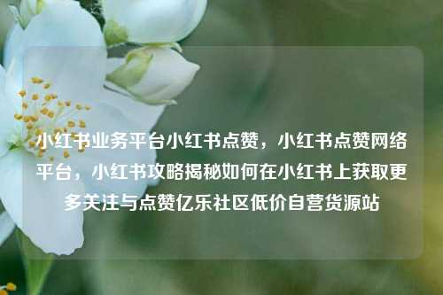 小红书业务平台小红书点赞	，小红书点赞网络平台，小红书攻略揭秘如何在小红书上获取更多关注与点赞亿乐社区低价自营货源站  第1张