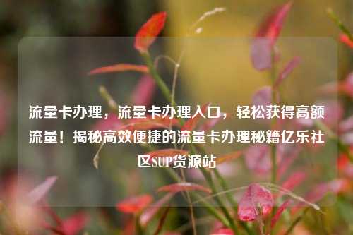 流量卡办理，流量卡办理入口	，轻松获得高额流量！揭秘高效便捷的流量卡办理秘籍亿乐社区SUP货源站  第1张