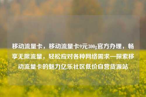 移动流量卡，移动流量卡9元300g官方办理	，畅享无限流量，轻松应对各种网络需求—探索移动流量卡的魅力亿乐社区低价自营货源站  第1张
