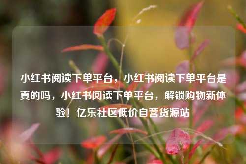 小红书阅读下单平台，小红书阅读下单平台是真的吗	，小红书阅读下单平台，解锁购物新体验！亿乐社区低价自营货源站  第1张